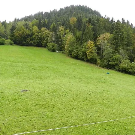 Hornflue - Baumann Appartement-fewo- Dusche Oder Bad- Wc 4-bettwohnung By Interhome * Gstaad